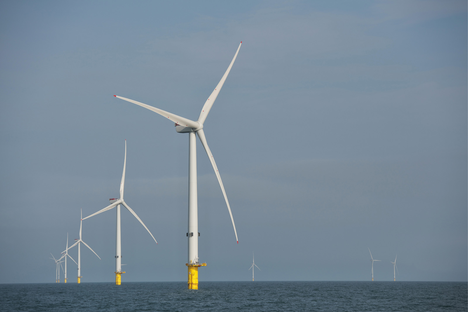 A row of five modern wind turbines in the sea, each with a yellow base, set against a blue sky and calm water.