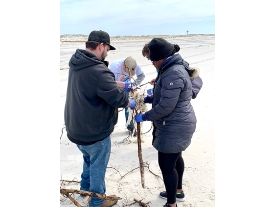 Three individuals in winter clothing engage in a collaborative task on a sandy beach, focusing on a tree branch.